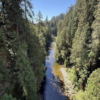 Capilano Suspension Bridge Park - Parks Near Me - North Vancouver, British Columbia