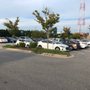 Photo of Thrifty Car Rental