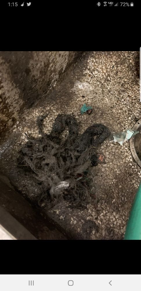 Slide of Roto-Rooter - Rifle