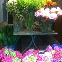 Blumen Schipfe