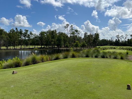 Tiburón Golf Club by null