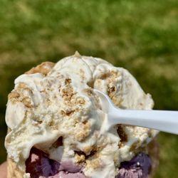 Rich Farm Ice Cream