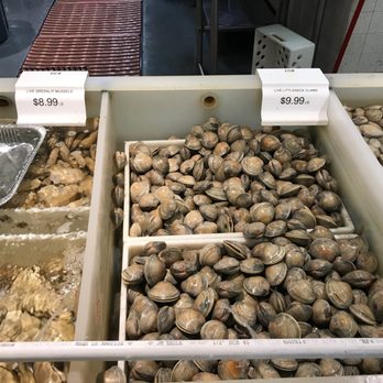 Quality Seafood - clams - Seafood Markets Near Me - Redondo Beach, California Quality Seafood - clams - Seafood Markets Near Me - Redondo Beach, California