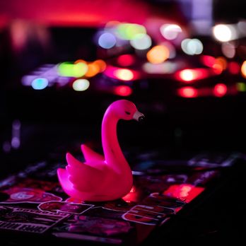 Blissful Boogie - Pink vibes with Blissful Boogie - Silent Disco Near Me Blissful Boogie - Pink vibes with Blissful Boogie - Silent Disco Near Me
