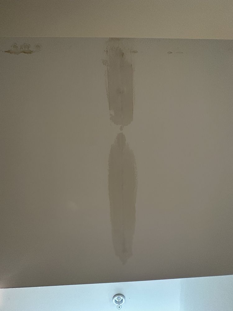 Slide of Str8 Flush Drain Cleaning