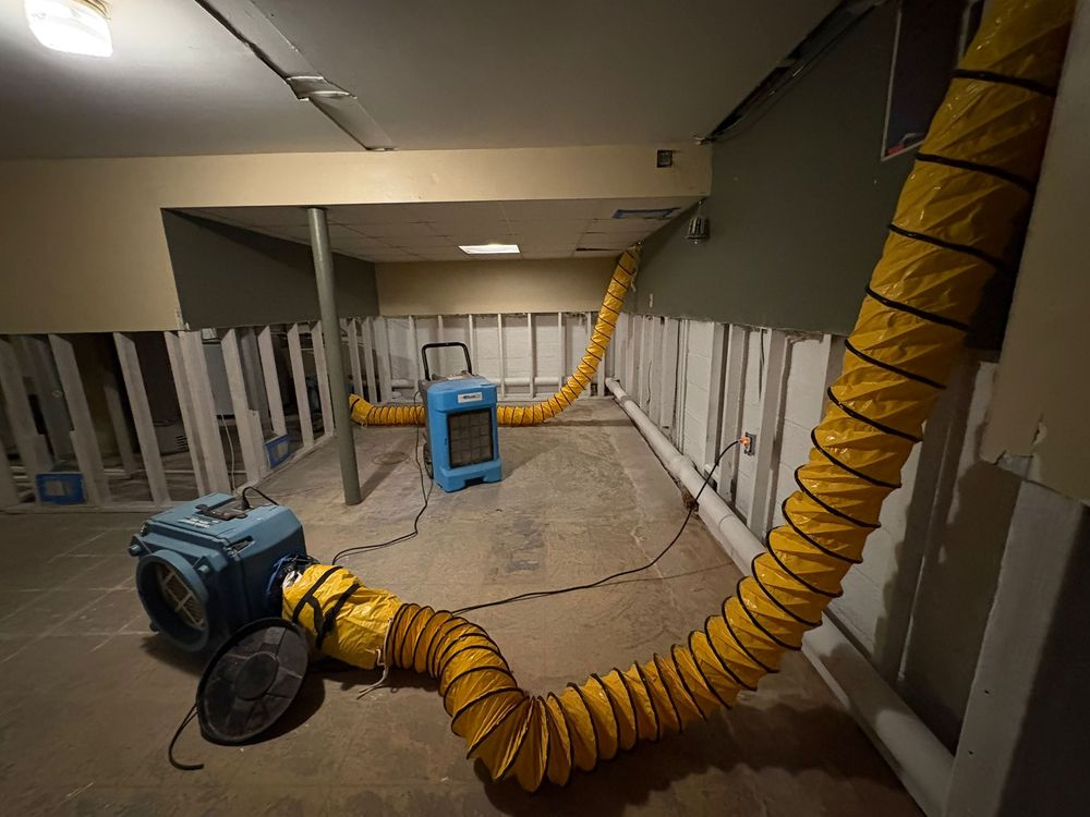 Mold Master Restoration - mold inspector in Jersey City, NJ