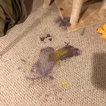 Carpet Keepers - Before picture of washable paint in berber carpet. - Carpet Cleaning Near Me