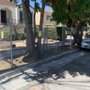 Photo of Kleinheinz Arborist Services