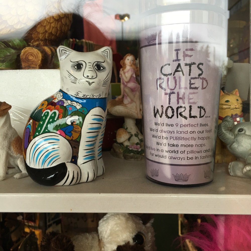 Kids-N-Cats Unique Gifts - Toy Stores Near Me - Austin, Texas Kids-N-Cats Unique Gifts - Toy Stores Near Me - Austin, Texas