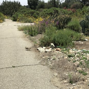 California Botanic Garden - Botanical Gardens Near Me - Claremont, California
