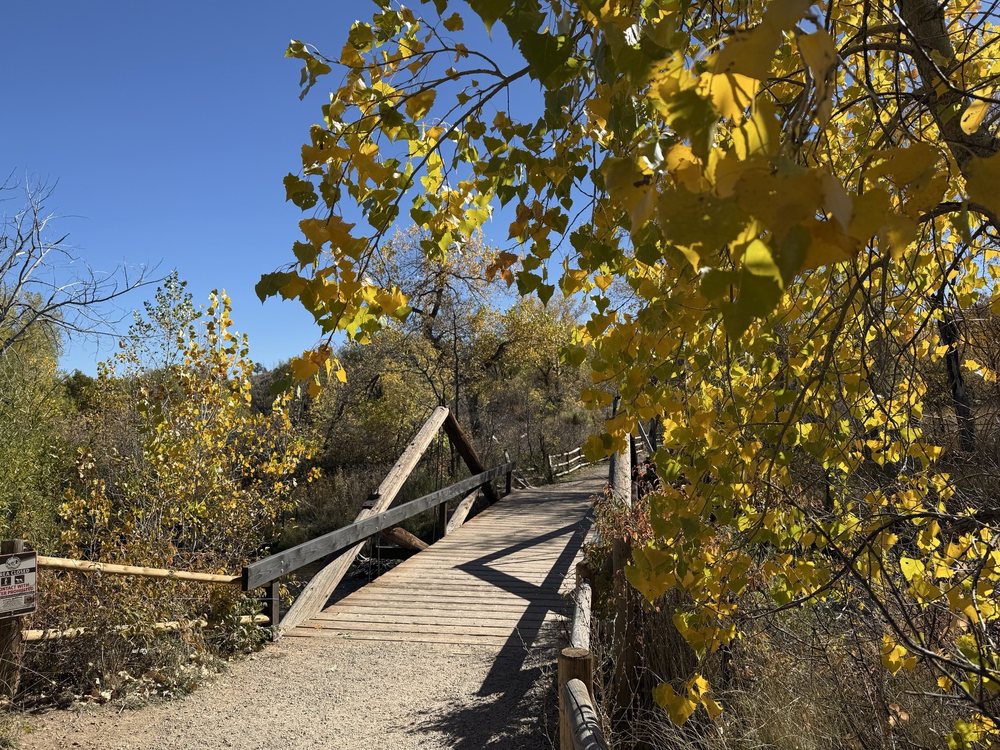 South Mesa Trailhead Logo