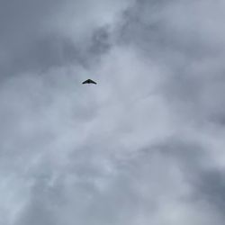 Hang Glide New England - Gaining altitude