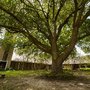 Photo of Trinity Episcopal Church
