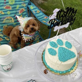 Cleo's Barkery - Bakeries Near Me - Scarsdale, New York