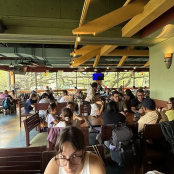 The Local - Bars Near Me - Honolulu, Hawaii