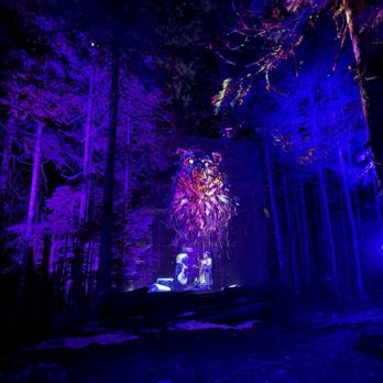 Vallea Lumina - More magic - Walking Tours Near Me - Whistler, British Columbia Vallea Lumina - More magic - Walking Tours Near Me - Whistler, British Columbia