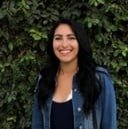 Peaks Digital Marketing | Denver SEO by null