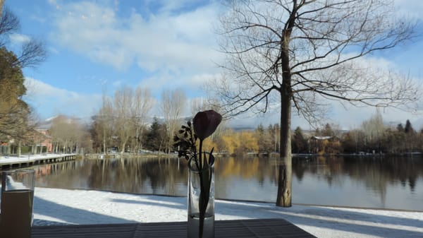 Hotel Villa Paulita by null