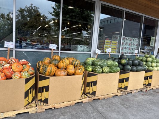 Berkeley Bowl West by null