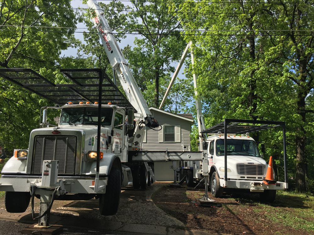 Action Tree Service - tree service in Birmingham, AL