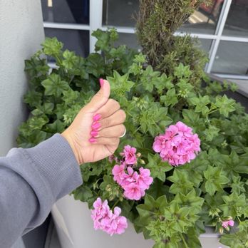 Hope Spa & Nails - Nail Salons Near Me - Brea, California