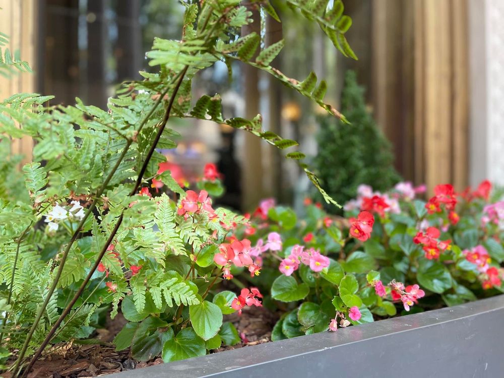 The Georgian Terrace