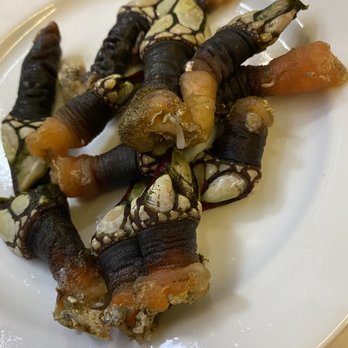 Cervejaria Ramiro - Goose barnacles - Seafood Near Me - Lisbon, 11