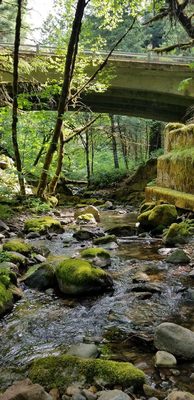 Umpqua's Last Resort - Wilderness Cabins, RV Park and Glamping by null