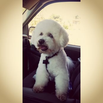 Claremont Pet Grooming - Pet Groomers Near Me - Claremont, California Claremont Pet Grooming - Pet Groomers Near Me - Claremont, California