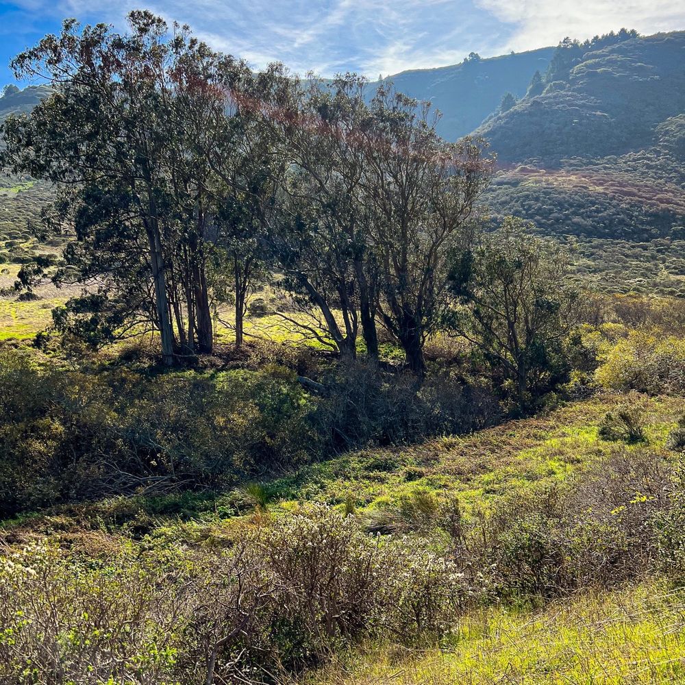 Tennessee Valley - Hiking Near Me - Mill Valley, California Tennessee Valley - Hiking Near Me - Mill Valley, California