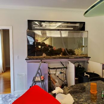 Lau's H2O Habitats - Maintaining 125gls saltwater system - Aquariums Near Me - San Francisco, California Lau's H2O Habitats - Maintaining 125gls saltwater system - Aquariums Near Me - San Francisco, California