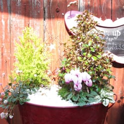 Cottage Home and Garden
