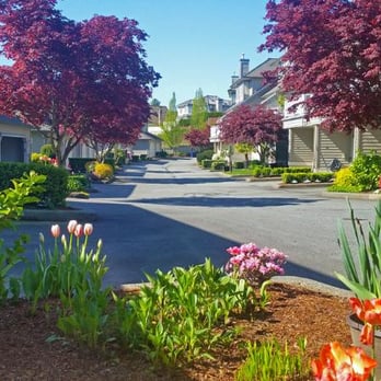 Silver Lining Landscaping - Landscape Architects or Designers Near Me - Coquitlam, British Columbia Silver Lining Landscaping - Landscape Architects or Designers Near Me - Coquitlam, British Columbia