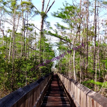 Apoxee Wilderness Trail - Boardwalk, which leads to a vast body of water. - Hiking Near Me - West Palm Beach, Florida Apoxee Wilderness Trail - Boardwalk, which leads to a vast body of water. - Hiking Near Me - West Palm Beach, Florida