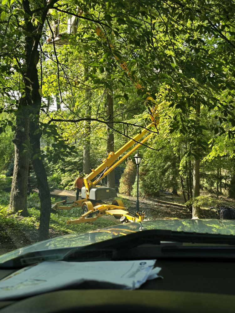 Halls Tree Service - tree service in Grand Rapids, MI