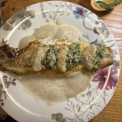 Sole fish