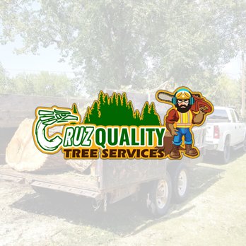 1. Cruz Quality Tree Service