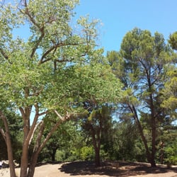 Parque de la Raza Disc Golf