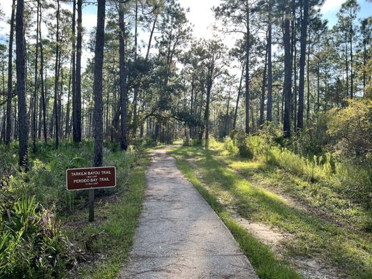 Tarkiln Bayou Preserve State Park by null