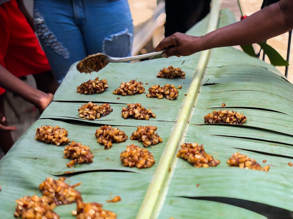 Irie Camp Jamaica - social services organization in Rochester, NY