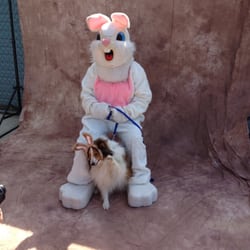 Township of Pennsville Animal Shelter