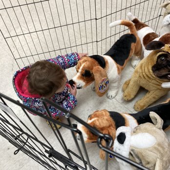 Incredible Pets - Pet Stores Near Me - Carmichael, California Incredible Pets - Pet Stores Near Me - Carmichael, California