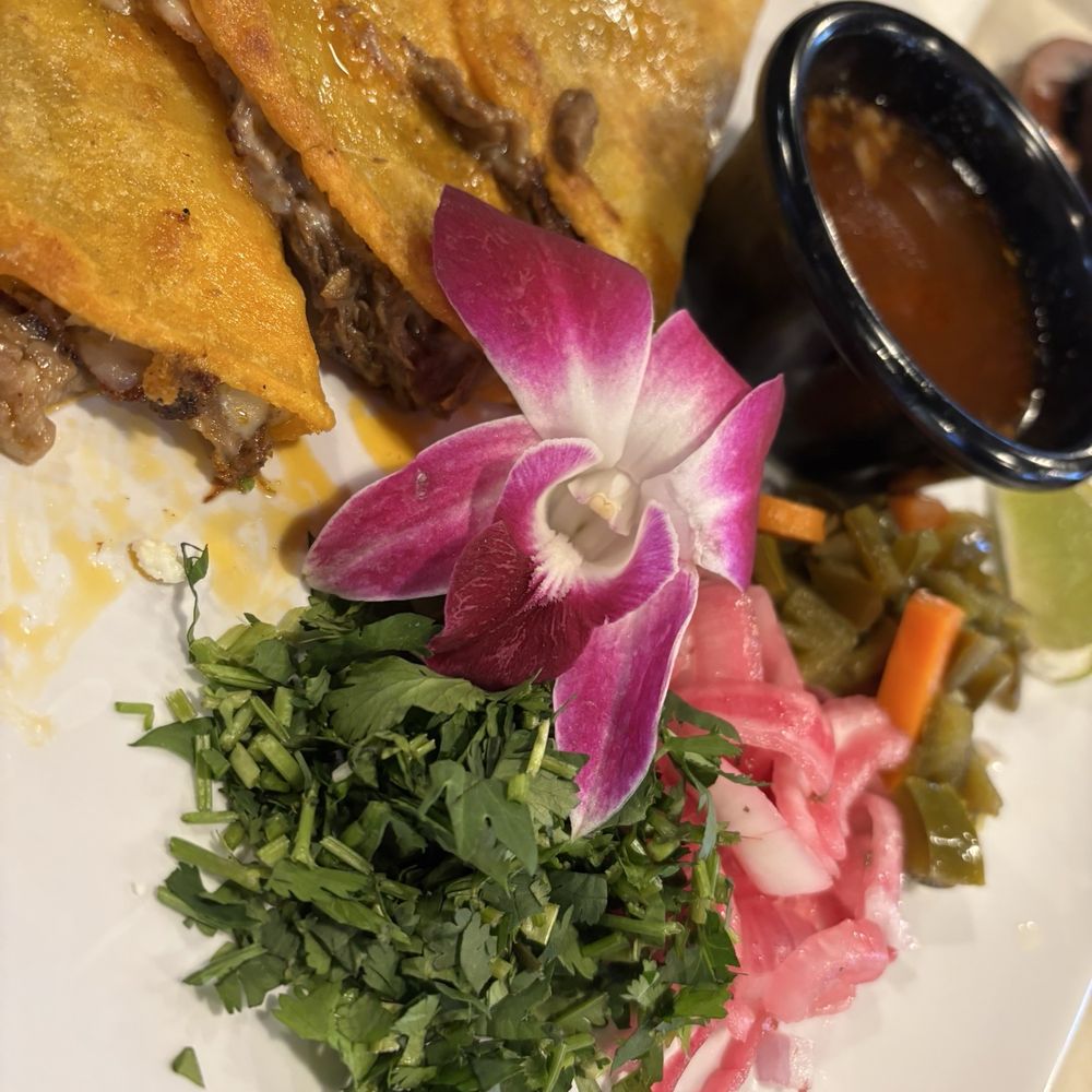 Tucan's Mexican Bar & Grill - Birrias - Mexican Near Me - Katy, Texas Tucan's Mexican Bar & Grill - Birrias - Mexican Near Me - Katy, Texas