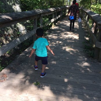 Great Falls Park - Parks Near Me - McLean, Virginia Great Falls Park - Parks Near Me - McLean, Virginia