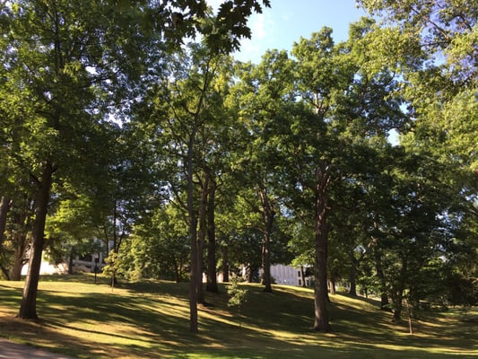 Kent State University by null