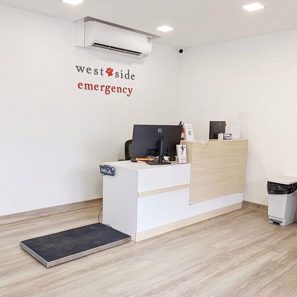 THE BEST 10 OSTEOPATHIC PHYSICIANS near YISHUN, SINGAPORE, SINGAPORE -  Updated 2026 - Hours - Yelp