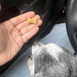 PatterPaws Animal Hospital - It's the mini treat for me :') soooo cute