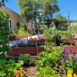 Healing Light Institue - Armed Forces Pavilion And Community Garden