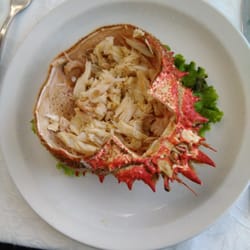 Il Gabbiano