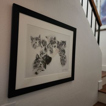 Mountary Custom Framing - Darling kitty cats - Framing Near Me Mountary Custom Framing - Darling kitty cats - Framing Near Me
